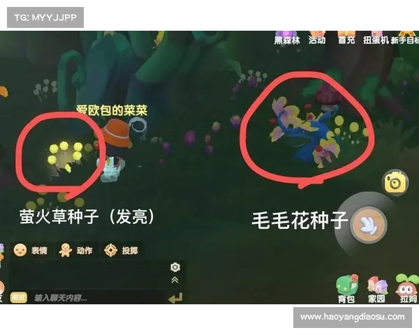 摩尔庄园最神秘岛屿探索全攻略揭晓探索未知宝藏与奇异生物 摩尔庄园最神秘岛屿探索全攻略揭晓探索未知宝藏与奇异生物