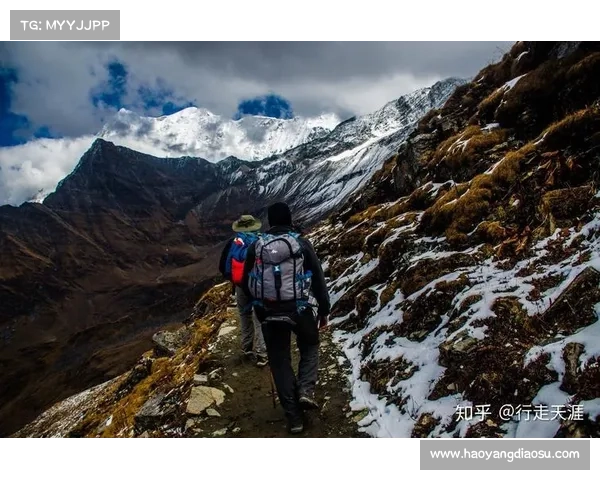 全方位全面洞悉瓦尔迪角色魅力的十项核心你必须了解的要素详指南